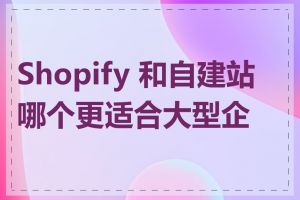 Shopify 和自建站哪个更适合大型企业