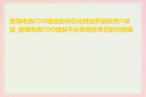 跨境电商COD建站如何优化网站界面和用户体验_跨境电商COD建站平台有哪些常见的功能模块