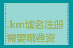 .km域名注册需要哪些资料