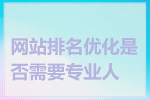 网站排名优化是否需要专业人士
