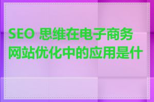 SEO 思维在电子商务网站优化中的应用是什么