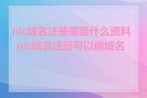 nic域名注册需要什么资料_nic域名注册可以换域名吗