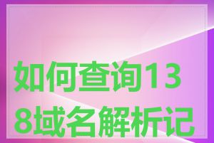 如何查询138域名解析记录