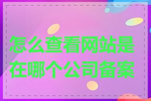 怎么查看网站是在哪个公司备案的