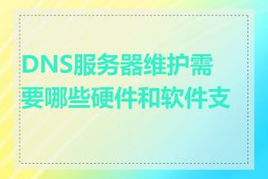 DNS服务器维护需要哪些硬件和软件支持