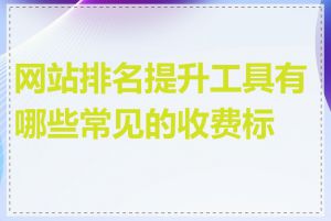 网站排名提升工具有哪些常见的收费标准