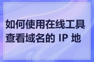 如何使用在线工具查看域名的 IP 地址