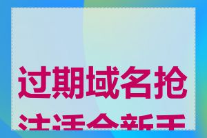 过期域名抢注适合新手吗