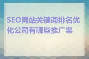 SEO网站关键词排名优化公司有哪些推广渠道