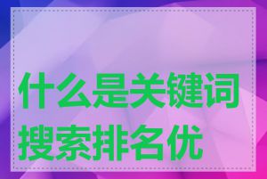 什么是关键词搜索排名优化