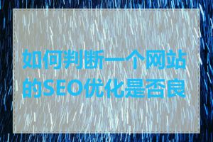 如何判断一个网站的SEO优化是否良好