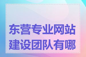 东营专业网站建设团队有哪些