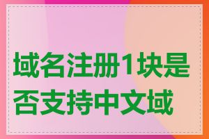 域名注册1块是否支持中文域名