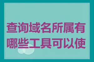 查询域名所属有哪些工具可以使用