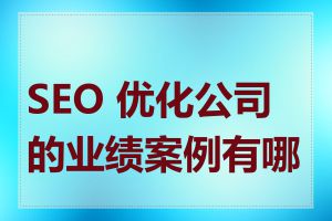 SEO 优化公司的业绩案例有哪些
