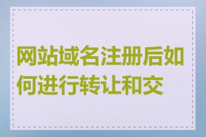 网站域名注册后如何进行转让和交易