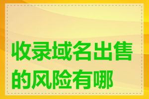 收录域名出售的风险有哪些