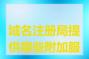 域名注册局提供哪些附加服务