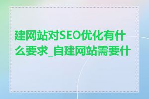 建网站对SEO优化有什么要求_自建网站需要什么