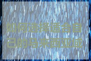 如何选择适合自己的马来西亚域名