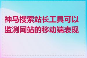 神马搜索站长工具可以监测网站的移动端表现吗