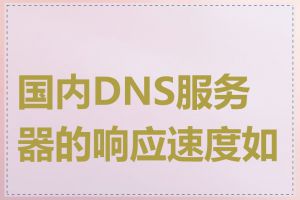 国内DNS服务器的响应速度如何