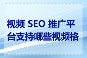 视频 SEO 推广平台支持哪些视频格式