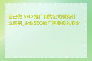 自己做 SEO 推广和找公司做有什么区别_企业SEO推广需要投入多少钱