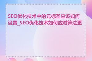 SEO优化技术中的元标签应该如何设置_SEO优化技术如何应对算法更新