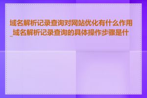域名解析记录查询对网站优化有什么作用_域名解析记录查询的具体操作步骤是什么