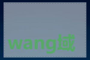 wang域名收费标准