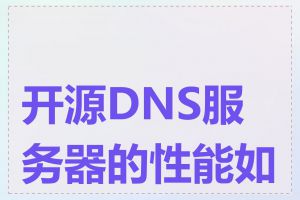 开源DNS服务器的性能如何