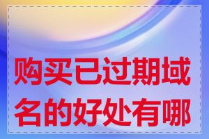 购买已过期域名的好处有哪些
