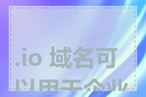 .io 域名可以用于企业吗