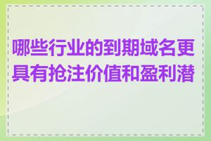 哪些行业的到期域名更具有抢注价值和盈利潜力