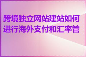 跨境独立网站建站如何进行海外支付和汇率管理