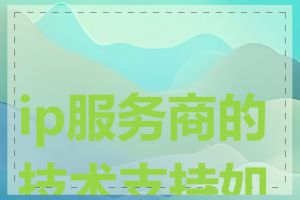 ip服务商的技术支持如何