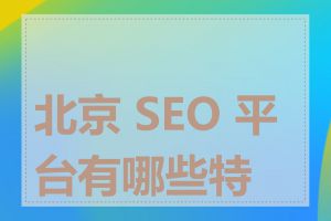 北京 SEO 平台有哪些特点