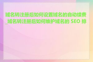 域名转注册后如何设置域名的自动续费_域名转注册后如何维护域名的 SEO 排名
