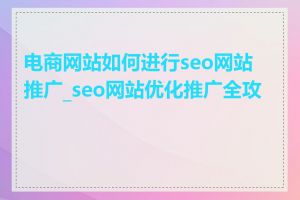 电商网站如何进行seo网站推广_seo网站优化推广全攻略