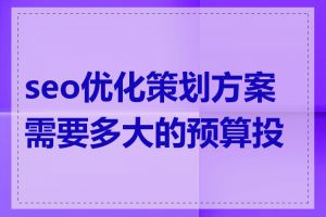 seo优化策划方案需要多大的预算投入
