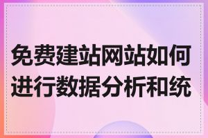 免费建站网站如何进行数据分析和统计