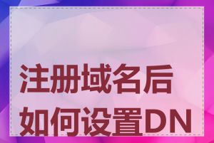 注册域名后如何设置DNS