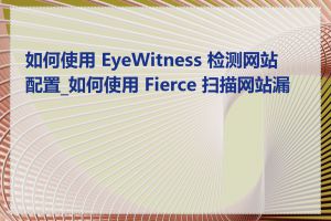如何使用 EyeWitness 检测网站配置_如何使用 Fierce 扫描网站漏洞
