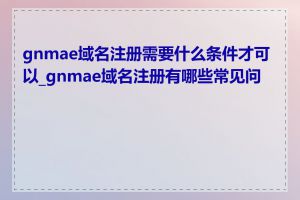 gnmae域名注册需要什么条件才可以_gnmae域名注册有哪些常见问题