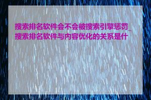 搜索排名软件会不会被搜索引擎惩罚_搜索排名软件与内容优化的关系是什么