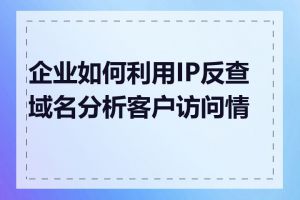 企业如何利用IP反查域名分析客户访问情况