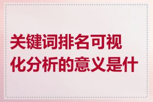 关键词排名可视化分析的意义是什么