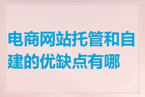 电商网站托管和自建的优缺点有哪些