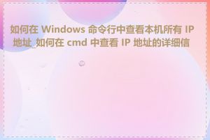 如何在 Windows 命令行中查看本机所有 IP 地址_如何在 cmd 中查看 IP 地址的详细信息